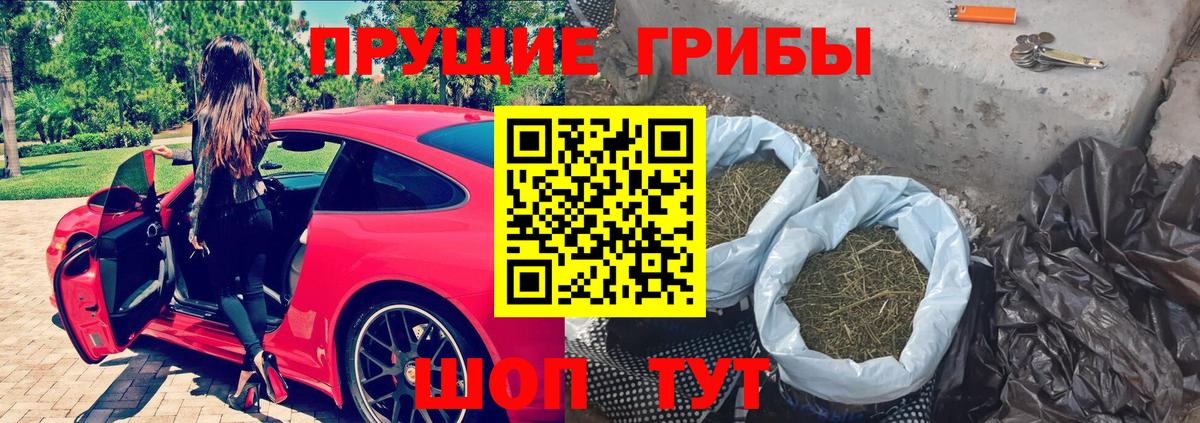 Галлюциногенные грибы Psilocybe Белогорск